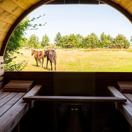 Anchorage Darss Modern Retreat *