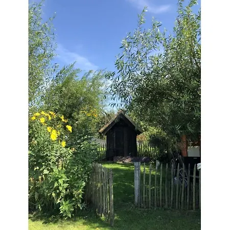 Anchorage Darss Modern Retreat *