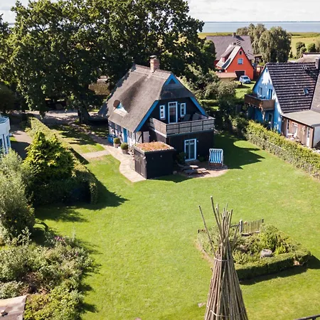 Dom wakacyjny Anchorage Darss Modern Retreat *
