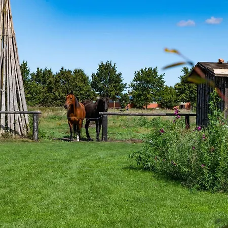 Anchorage Darss Modern Retreat Prázdninový dům Born